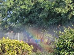 -风云岭森林公园