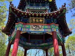 -沂蒙山旅游区云蒙景区(蒙山国家森林公园)