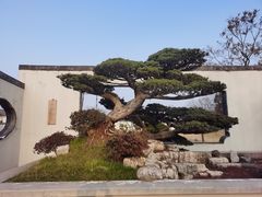 -扬州大运河文化旅游度假区·盆景园