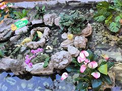 -赛格国际购物中心(小寨店)