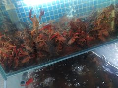 水产区-柒五龙虾(八王寺店)