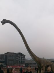 -恐龙探索乐园(磁器口店)