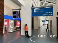 -朱利叶斯·尼雷尔国际机场