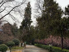 -九华山公园