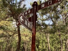 -云岗森林公园