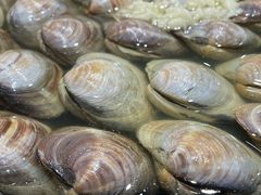 -水哥卜卜贝(东晓·胜汇里店)