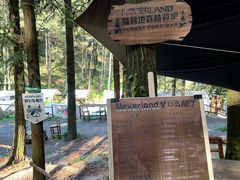 -重庆睡佛山森林公园