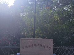 -小洲村