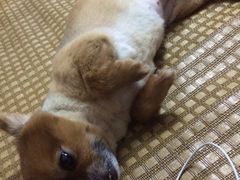 iphone_upload_pic-红宝石·鲜奶小方(万航店)