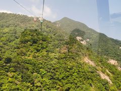 -满記土窑烧鷄波浪山莊