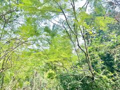 -重庆彩云湖湿地公园