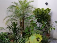 -漫笙舍Manse·咖啡·民宿
