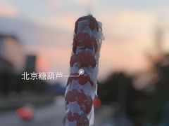 -和禄德冰糖葫芦