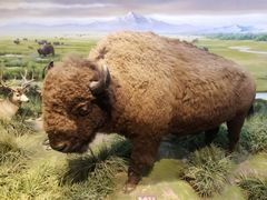 -陕西自然博物馆