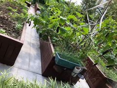 -梧桐人家中国太平国际健康颐养社区