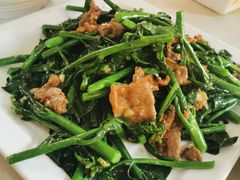 -石岐乳鸽村(桥观坊南四巷店)