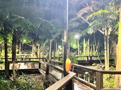 -布里斯班南岸公园