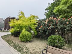 -南翠屏公园