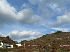 -四明山国家森林公园