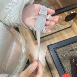 -Moni星球萌宠·小马宝莉·灵蛇·高端高阶全萌宠互动体验俱乐部(红豆国际广场店)