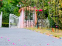 -福建鲤鱼洲酒店