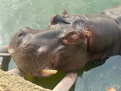 -杭州野生动物世界