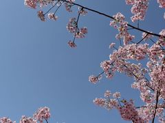 -新江湾城公园