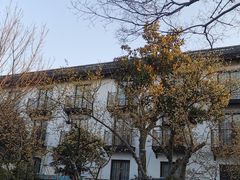 -东山雕花楼