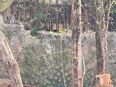 -乐和乐都主题乐园