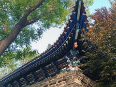 -白塔山公园