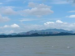 -福田红树林生态公园