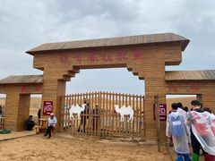 -银肯塔拉沙漠生态旅游景区