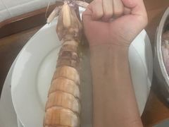 濑尿虾-凯华海鲜火锅·传承三十六年