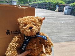 -济州岛泰迪熊博物馆