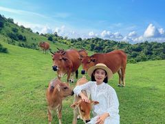 -大姆山草场