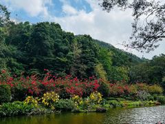 -深圳仙湖植物园