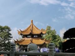 -黄鹤楼公园(黄鹤楼)