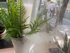 -探窝·竹笙椰子鸡(杨箕店)