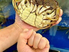 -阳澄湖大闸蟹·琼灵阁牌品牌连锁(吴中总店)