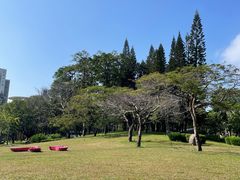 -四海公园(南山区)
