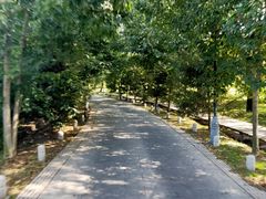 -泰安地下龙宫景区