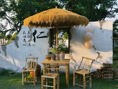 -西山漾湿地公园