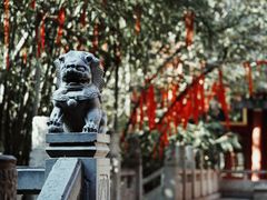 -兴教寺