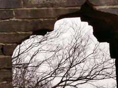 -上海佘山国家森林公园天马山园