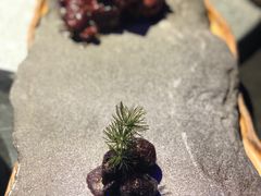 -大董烤鸭店(王府井店)