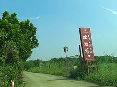 -天下先生态园农庄CS团建露营地(海鸥岛店)