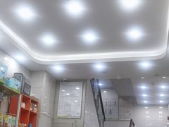 -瑞鹏宠物医院华南总院·夜诊·心脏科·骨科