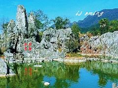 -千岛湖石林
