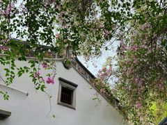 -深圳国际园林花卉博览园