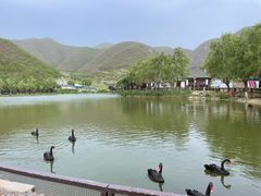 -静之湖度假区